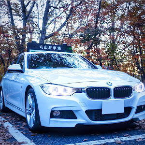 320i M Sport (F30)