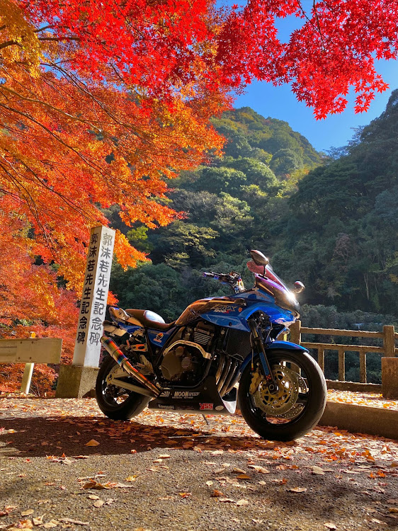 フェアレディZのいつもイイネ&コメントありがとうございます🙇‍♂️・Z修理完了😊・阿蘇歴代ツーリング❣️・バイクネタ🏍ですみません🙏・紅葉🍁に関するカスタム事例の投稿画像4枚目