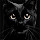 Black Cat Wallpapers Black Cat New Tab