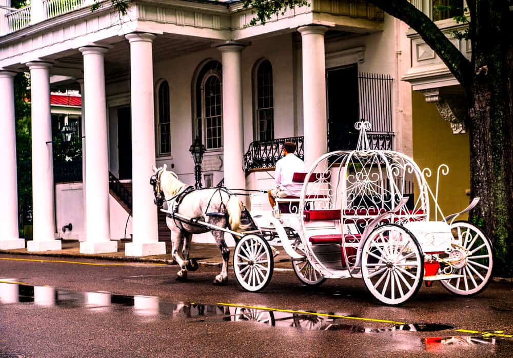 horse and carriage