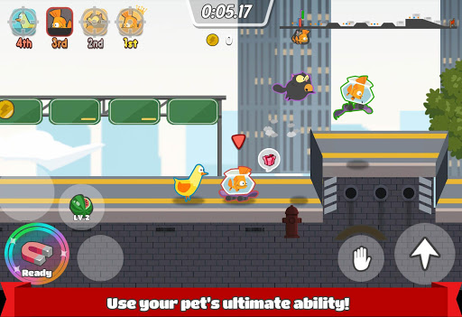 Pets Race - Fun Multiplayer PvP Online Racing Game