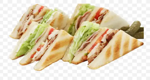 Veg Tangy Paneer Sandwich