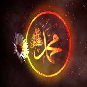 Download Hadis-i Şerif For PC Windows and Mac