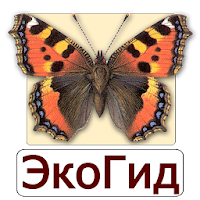 EcoGuide Russian Butterflies