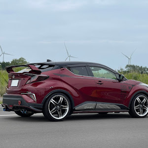 C-HR NGX50