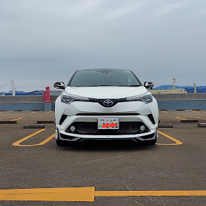 C-HR ZYX10