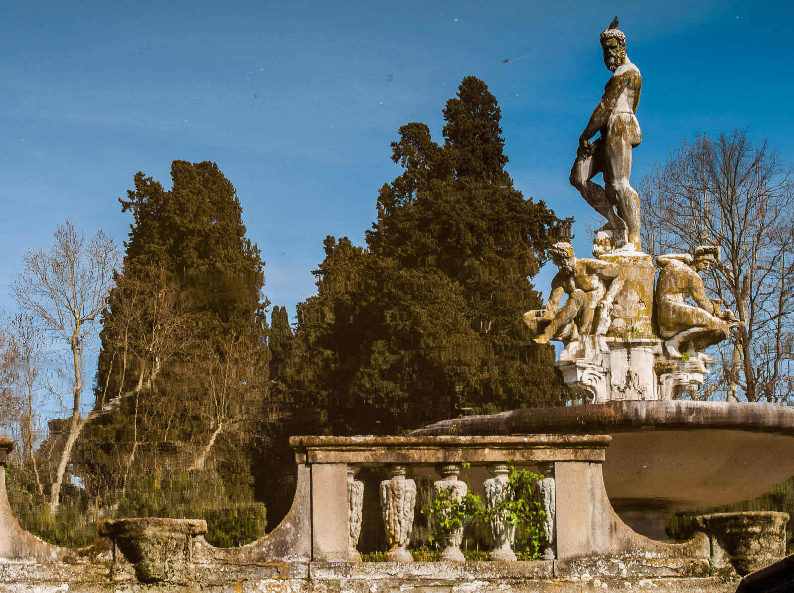 Giardino di Boboli di gmb3