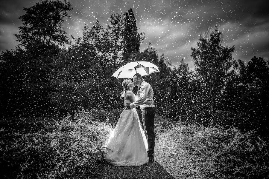 Wedding photographer Petr Hrubes (harymarwell). Photo of 30 August 2017