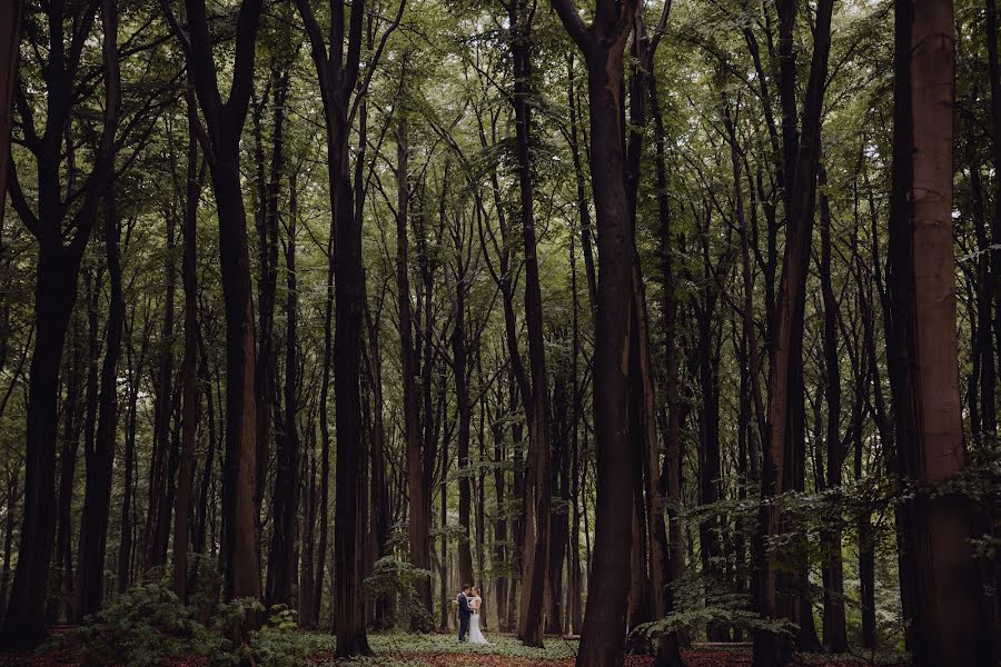 Fotografer pernikahan Carolina Lux Mosquera (luxstorytellers). Foto tanggal 13 Mei 2019