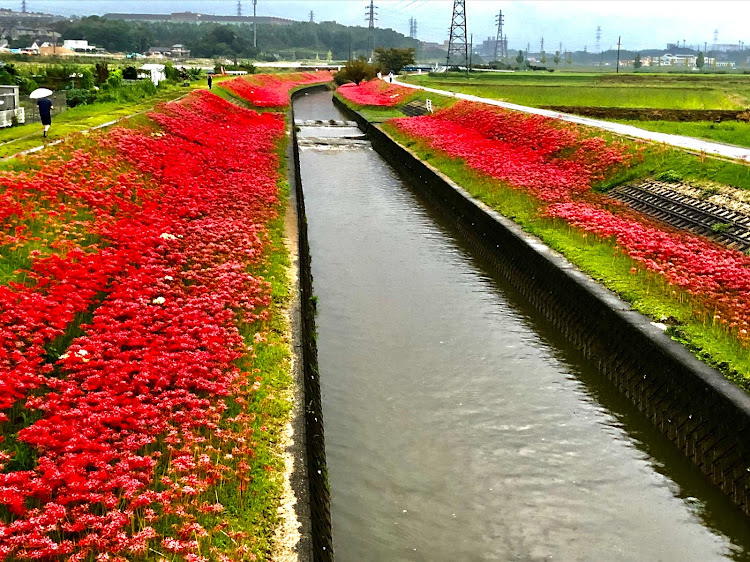 の投稿画像10枚目