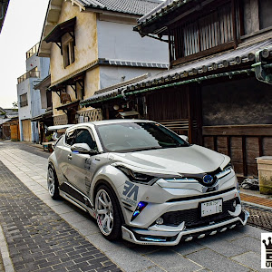 C-HR ZYX10