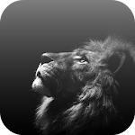 White Lion Video Wallpaper Apk