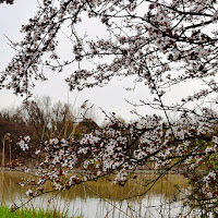 Paradiso lagunare di 