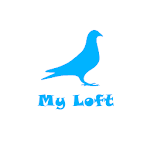 My Loft Apk