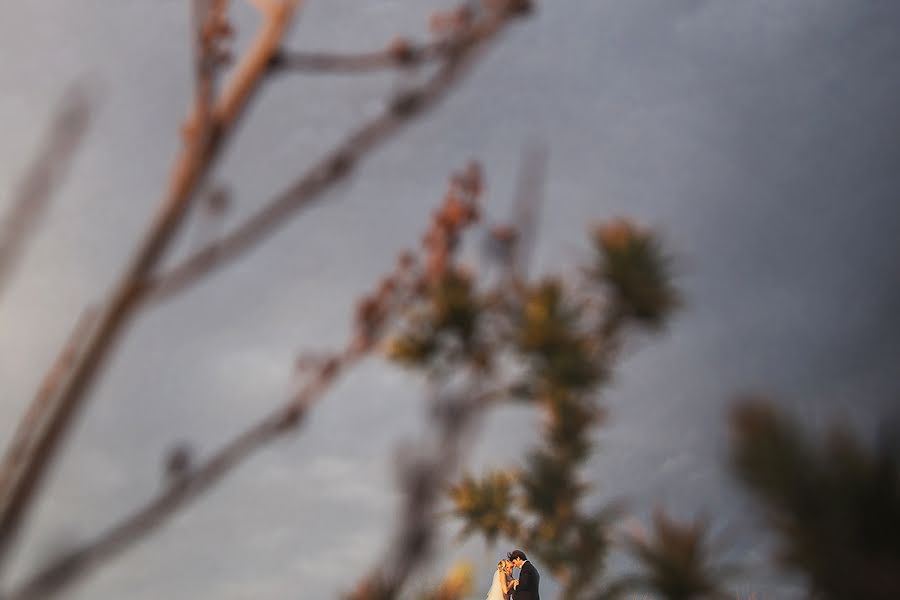 Fotógrafo de bodas Luigi Cordella (luigicordella). Foto del 12 de julio 2016