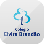 Elvira Brandão Apk