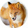 Fox Wallpaper New Tab