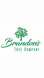 Brandon's Tree Company Logo