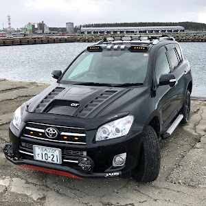 RAV4 ACA31W