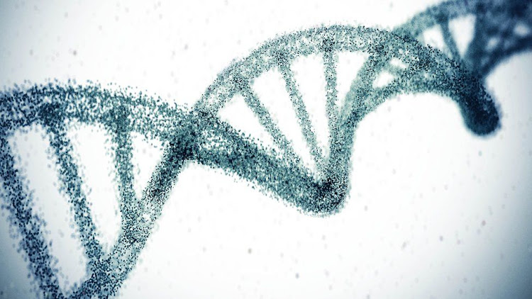 Gene drives are able to cut another gene out of a strip of DNA