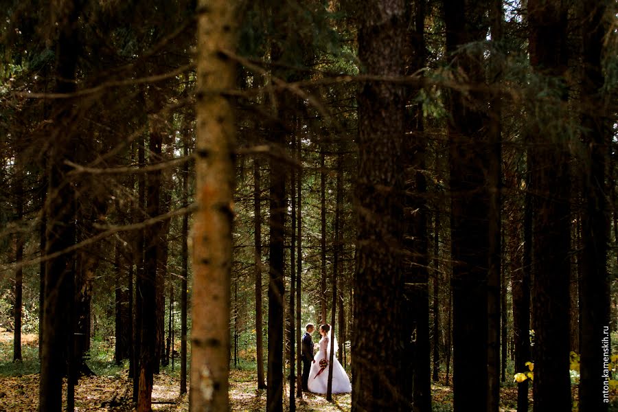 Fotógrafo de bodas Anton Kamenskikh (akamenskih). Foto del 20 de noviembre 2016