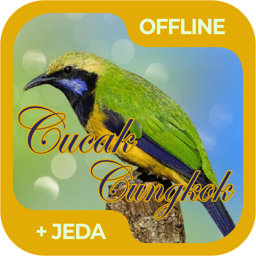 Masteran Burung Cucak Cungkok Offline
