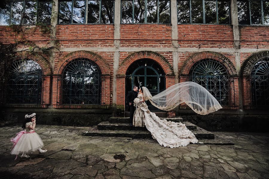 Wedding photographer Paloma Mejia (mejia). Photo of 29 January 2020