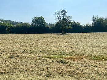 maison neuve à Tourville-en-Auge (14)