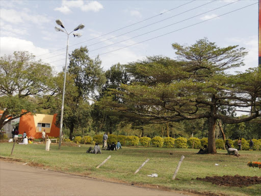 City park on September 4, 2015 /MONICAH MWANGI