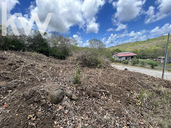 terrain à Sainte Anne (972)