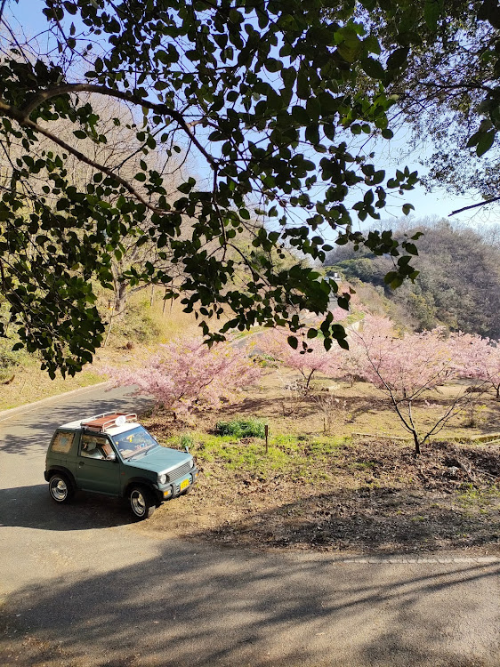 パジェロミニのパジェロミニのある生活・桜・海・しまなみ海道・広島散歩に関するカスタム事例の投稿画像3枚目