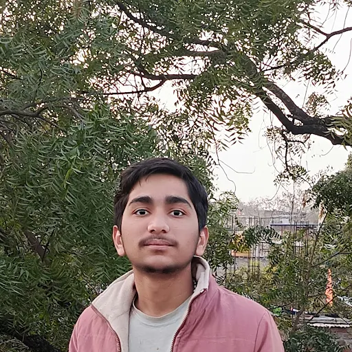 Akshat Tiwari, As a diligent and passionate second-year B.Tech Computer Science student, I have developed a foundational understanding of programming languages such as C and C++ and possess a basic knowledge of web development with HTML and CSS. I am just starting my career and keen to apply my technical skills in a practical environment.