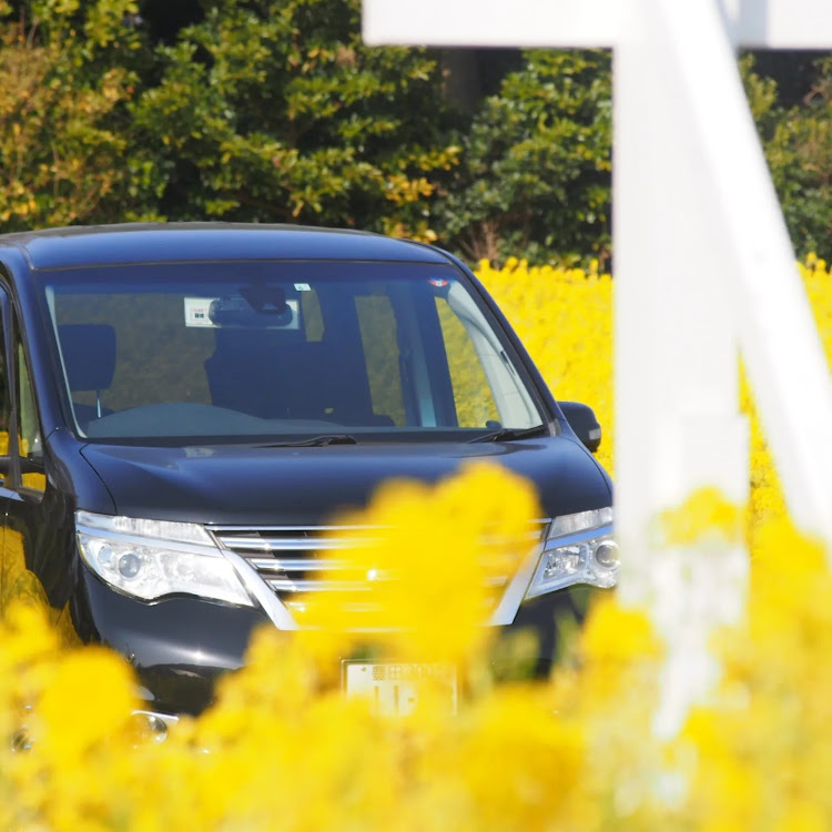 セレナの自宅待機解除・モグリ・26の日・低そうで低くない車に関するカスタム事例の投稿画像3枚目