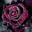 Purple Rose Wallpaper HD Custom New Tab