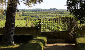 terrain à Meze (34)