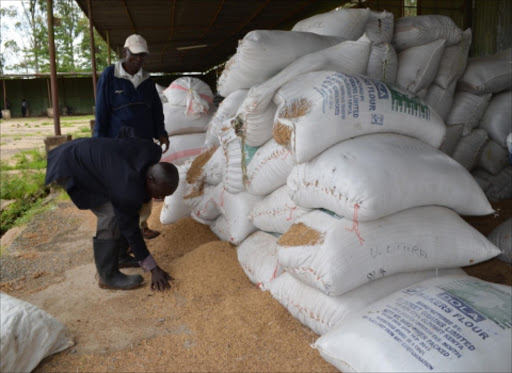 RICE BOOM: Farmers pack their produce at the Ahero Rice Irrigation Scheme in Nyando, Kisumu county. China will support rice projects in Kenya.