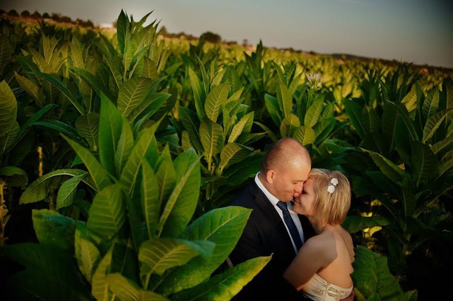 Fotógrafo de bodas Jarek Czachor (czachorpp). Foto del 4 de mayo 2023