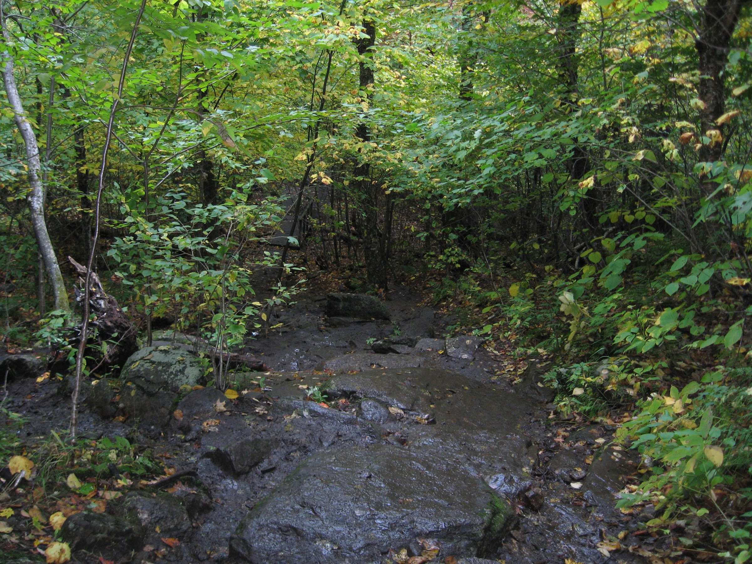 descending the Wachusett Mountain after the rain