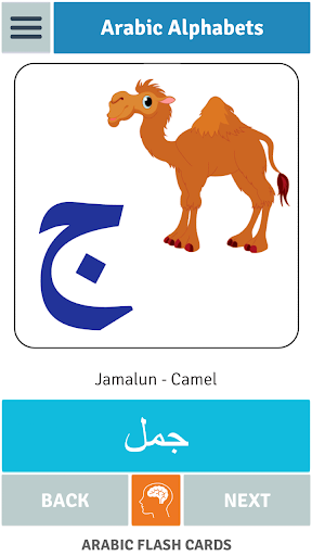 Arabic Flash Cards