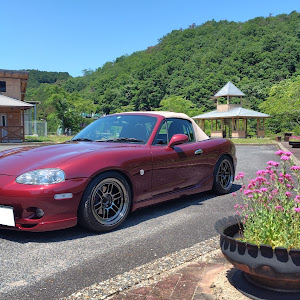 ロードスター NB6C