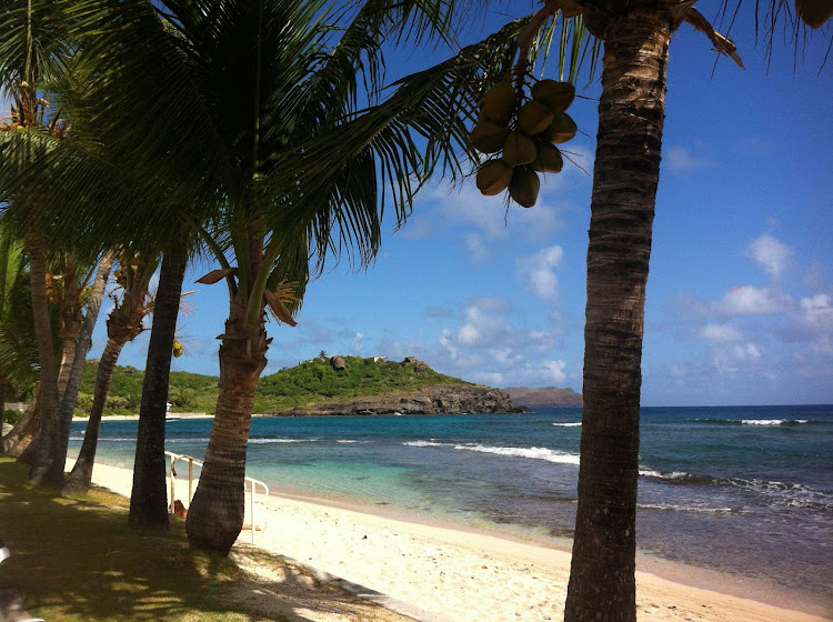 A shell-rich beach on St. Barts. 