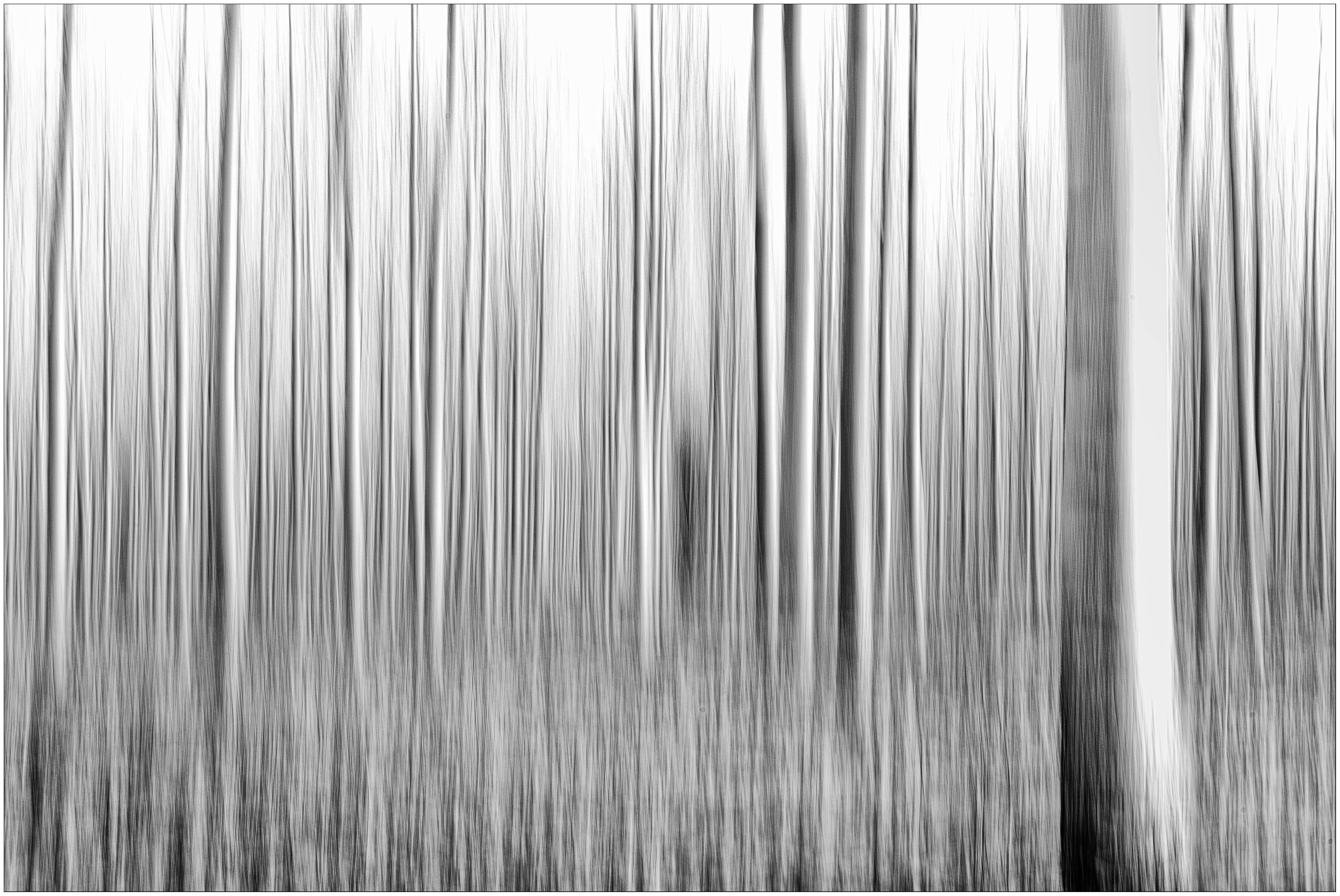 -Pioppeta ICM- di mr_gh