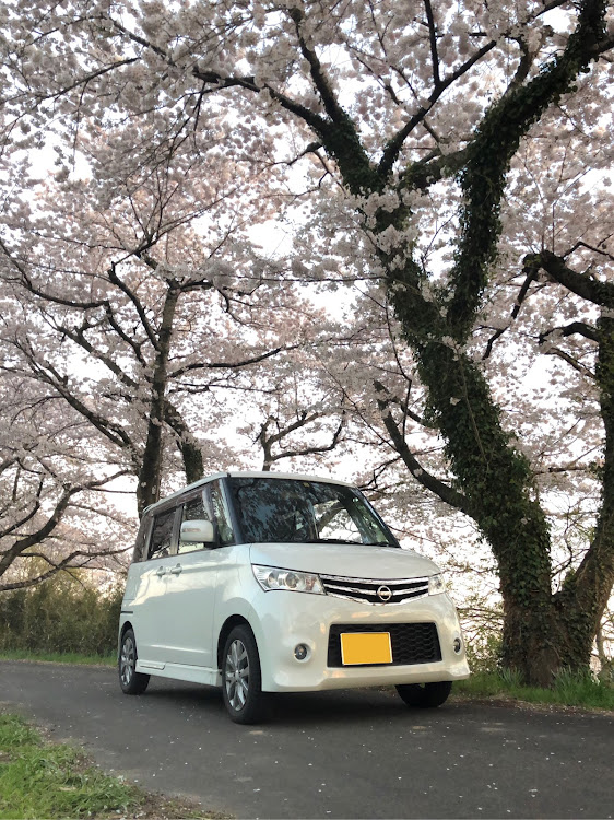 ルークスの加護坊山・桜と愛車に関するカスタム事例の投稿画像1枚目