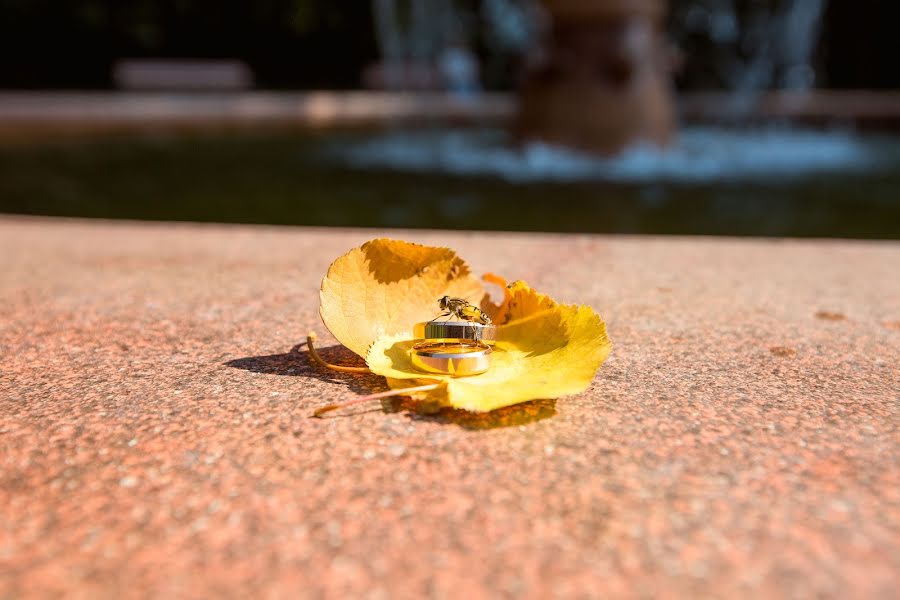 Fotograful de nuntă Aleksey Terentev (fototerentyef). Fotografia din 6 septembrie 2018