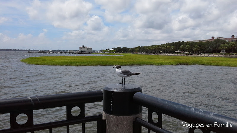 waterfront park