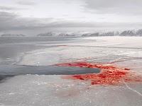 ijs, rood van een slachtpartij