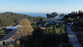 terrain à Tanneron (83)