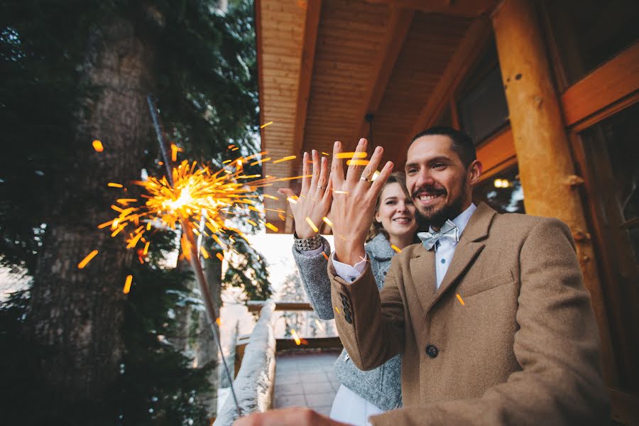 Photographe de mariage Alena Litvinova (litvinovasochi). Photo du 30 décembre 2015