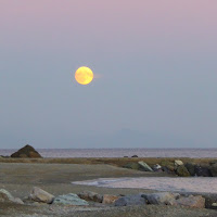 Luna e mare. di Piera