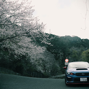 WRX STI VAB